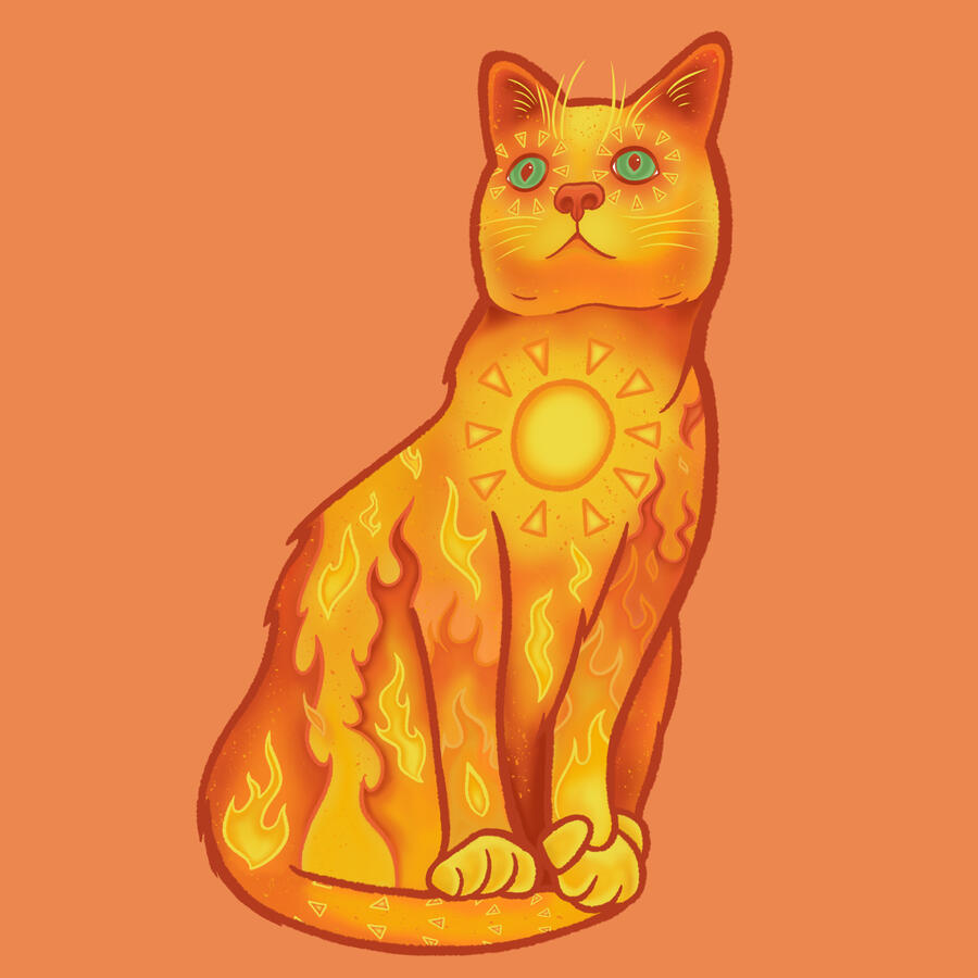 Illustrations