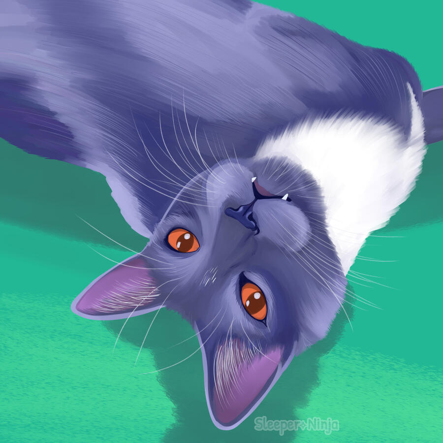 Axel